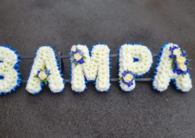 Bampa letters in blue