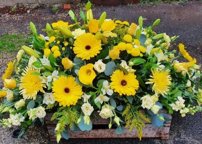 Yellow Casket Spray