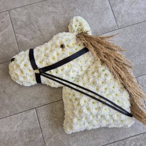 Bespoke Horse Tribute
