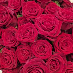 Valentines 100 Rose Bouquet